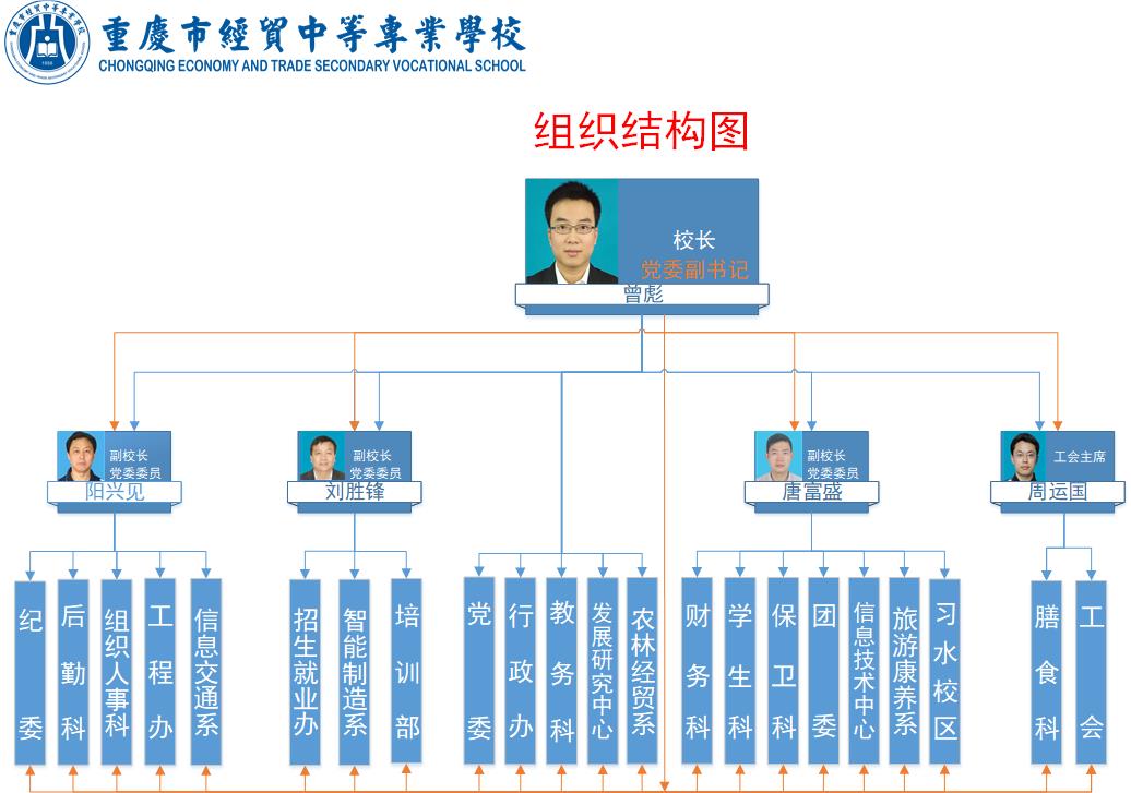 組織結(jié)構圖